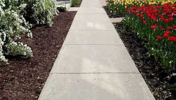 Sidewalk Concrete Replacement