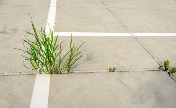 Concrete Parking Installation in Owings Mills